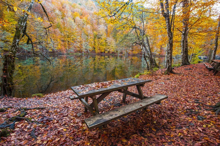 Büyüleyici renkler: Karadenizin sonbaharda görülmesi gereken 10 güzelliği