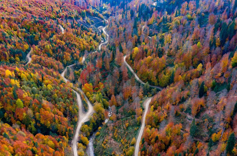 Büyüleyici renkler: Karadenizin sonbaharda görülmesi gereken 10 güzelliği