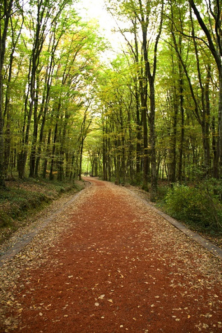 Şimdi yola çıkma vakti: Sonbaharın doğa harikası yürüyüş rotaları | 10 ŞEHİR 10 ADRES