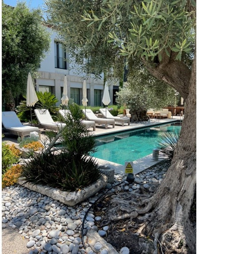 Gezgin - Ferzan Yapkuöz Eylülde Çeşme ve Alaçatı bir başkadır