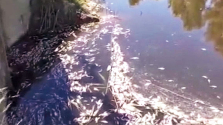 1 hafta arayla aynı katliam... Bu seri katillere dur diyen yok mu