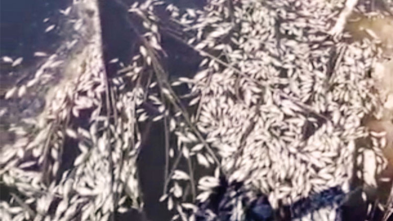 1 hafta arayla aynı katliam... Bu seri katillere dur diyen yok mu