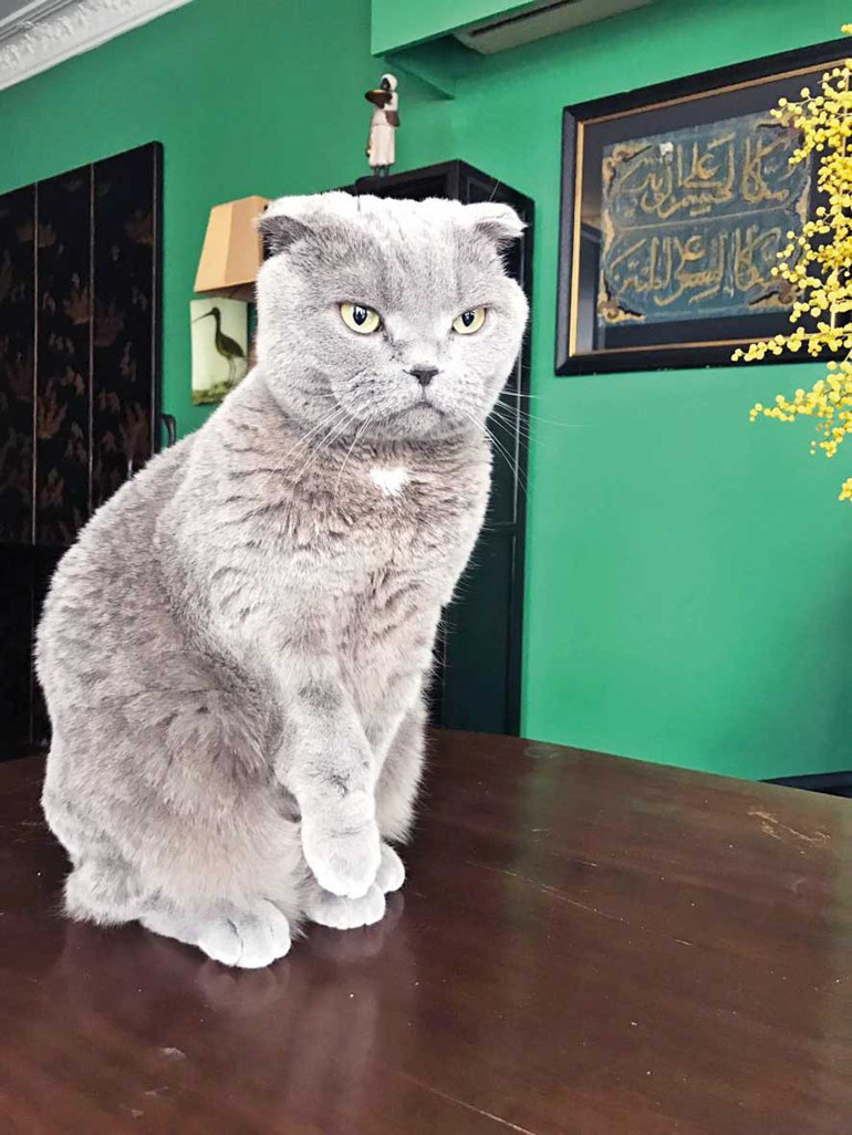 İçimizin milli yağları eridi