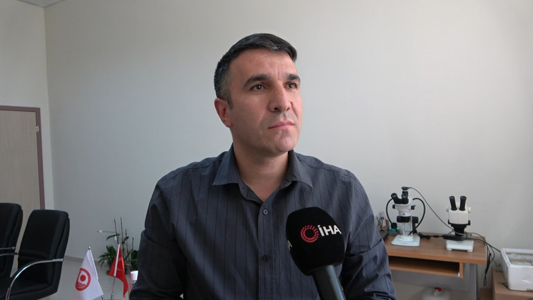 Dünyanın en zehirli örümcekleri arasında gösteriliyordu... Uzmanlardan rahatlatan açıklama