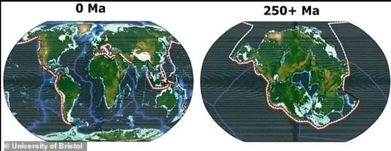 Kitlesel yok oluş kapımızda... Bilim insanları tarih verdi: Yükselen sıcaklıklar kaderimizi belirleyecek