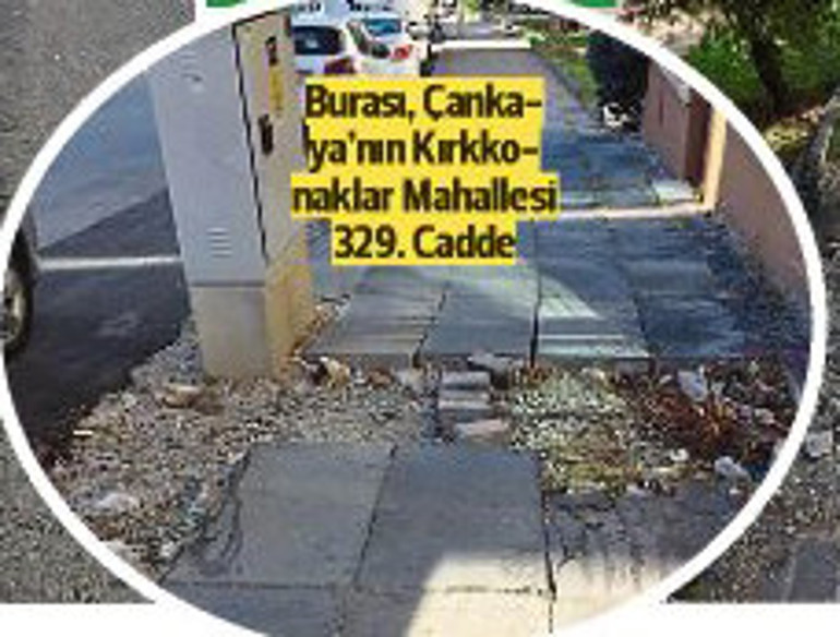 Saldırganlaşan sokak köpeklerine bir çözüm bulunmalı