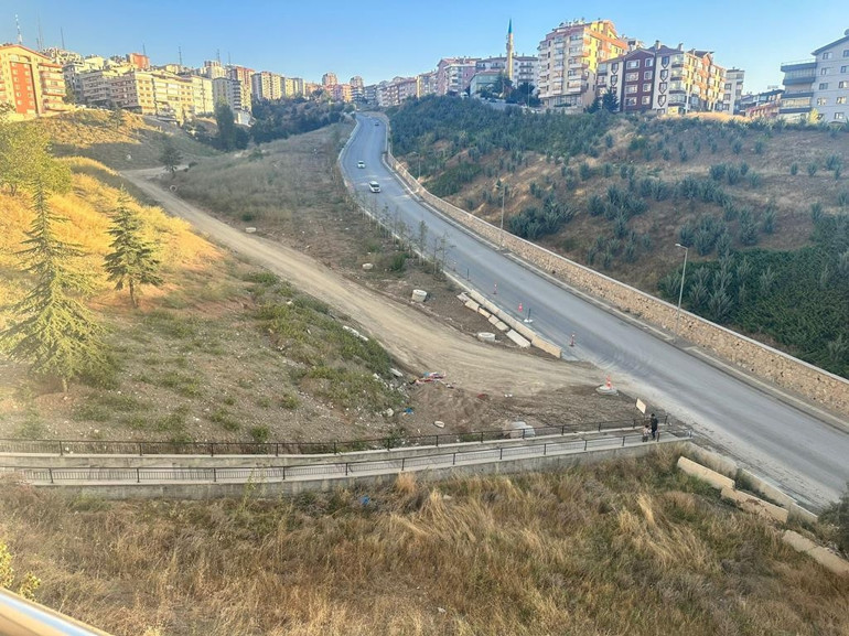 Saldırganlaşan sokak köpeklerine bir çözüm bulunmalı