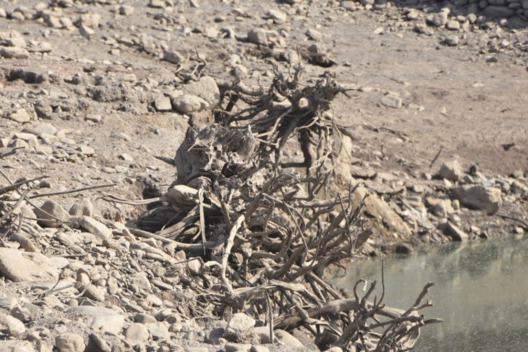 Turizm kentinde tehlike çanları Uzman isim uyardı: Bodrumda bizi zor günler bekliyor