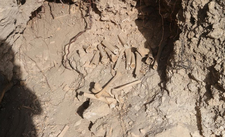 Tahrip edilen tarihi alandan toplu insan kemikleri çıktı