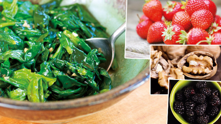 Bağışıklığımızın koruma kalkanı