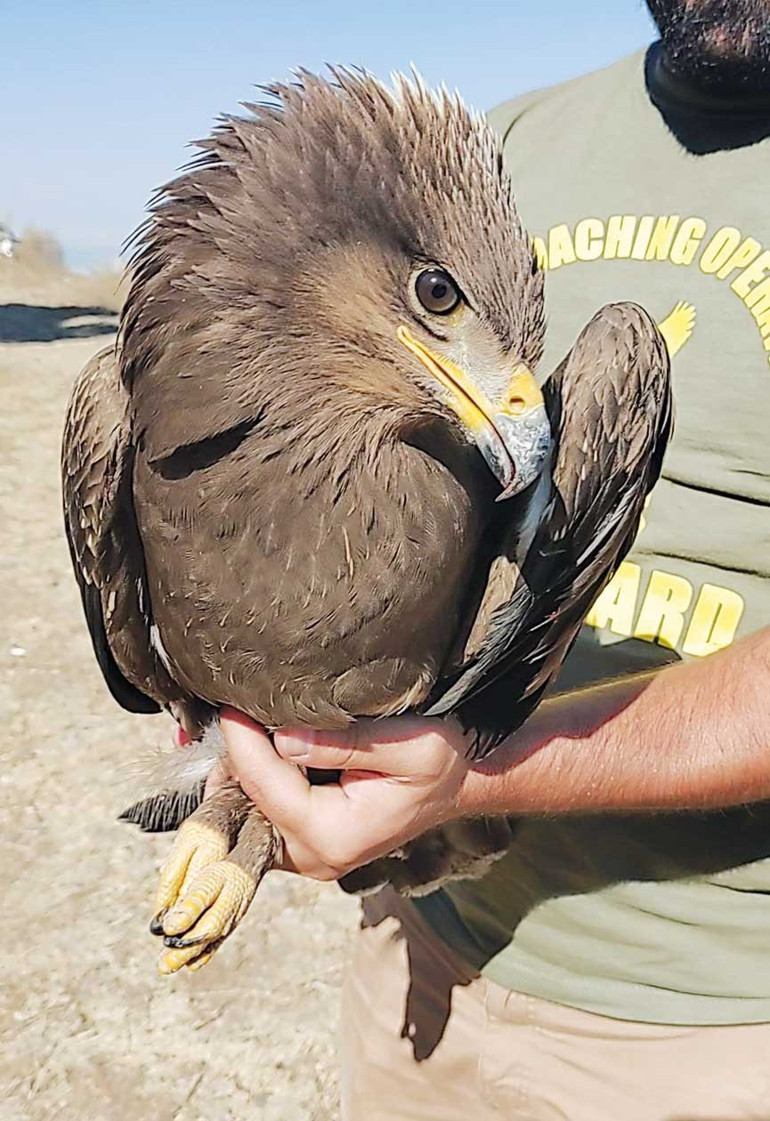 Göç mevsiminin kanlı rotası