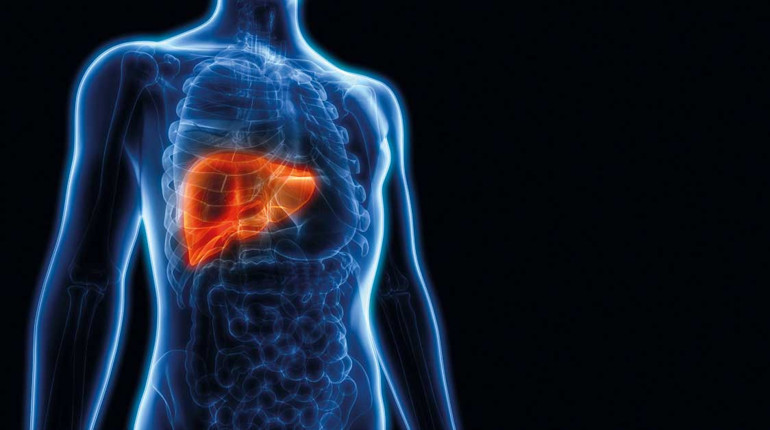 Karaciğerinize iyi bakın