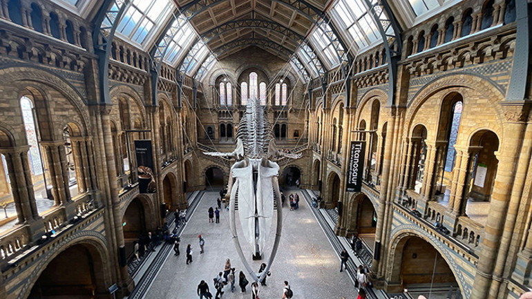 Cumhuriyet’in 100’üncü yılı için muhteşem balo