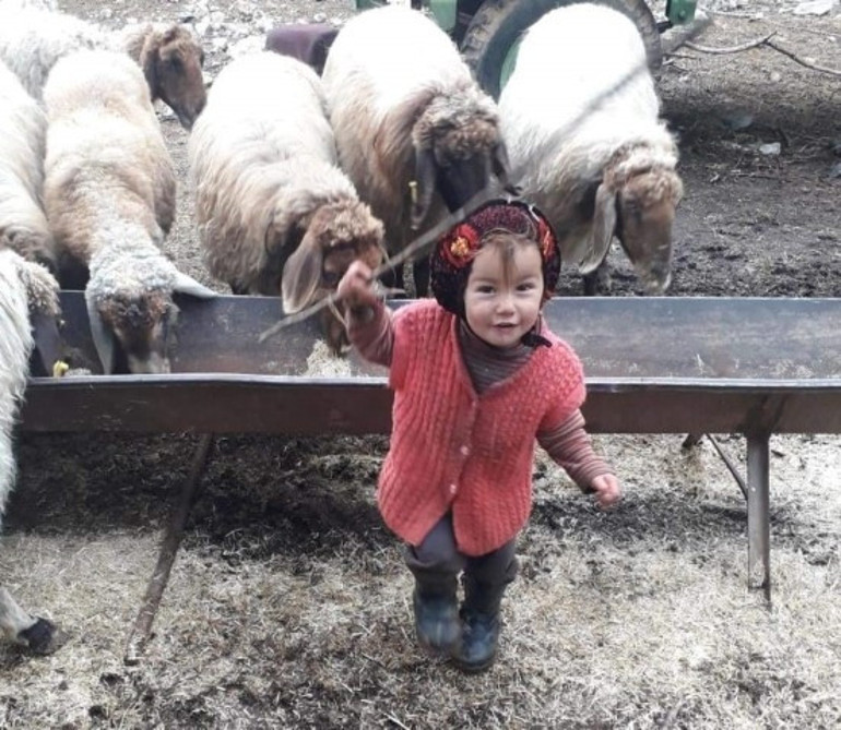 Müslüme Yağal cinayetinde dede için yeni karar Cinayetten beraat, geline cinsel saldırıdan 28 yıl hapis