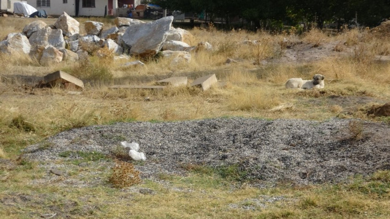 Boş arazide bebek cesedi bulundu: Anne ve baba gözaltında
