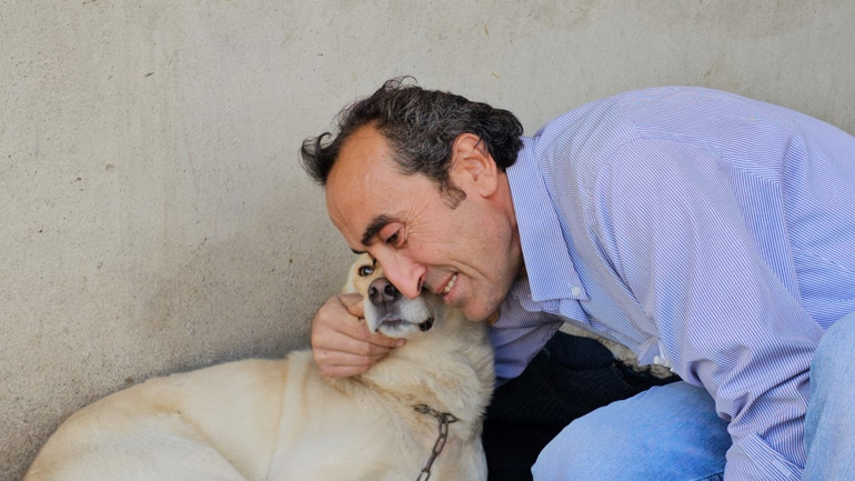 Zonguldakta hayvanseverin köpeği darbedilip, öldürüldü