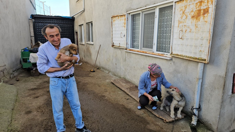 Zonguldakta hayvanseverin köpeği darbedilip, öldürüldü