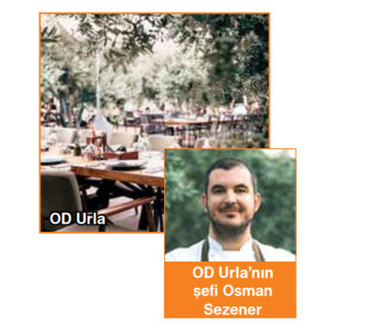 Yıldız heyecanı başlıyor...