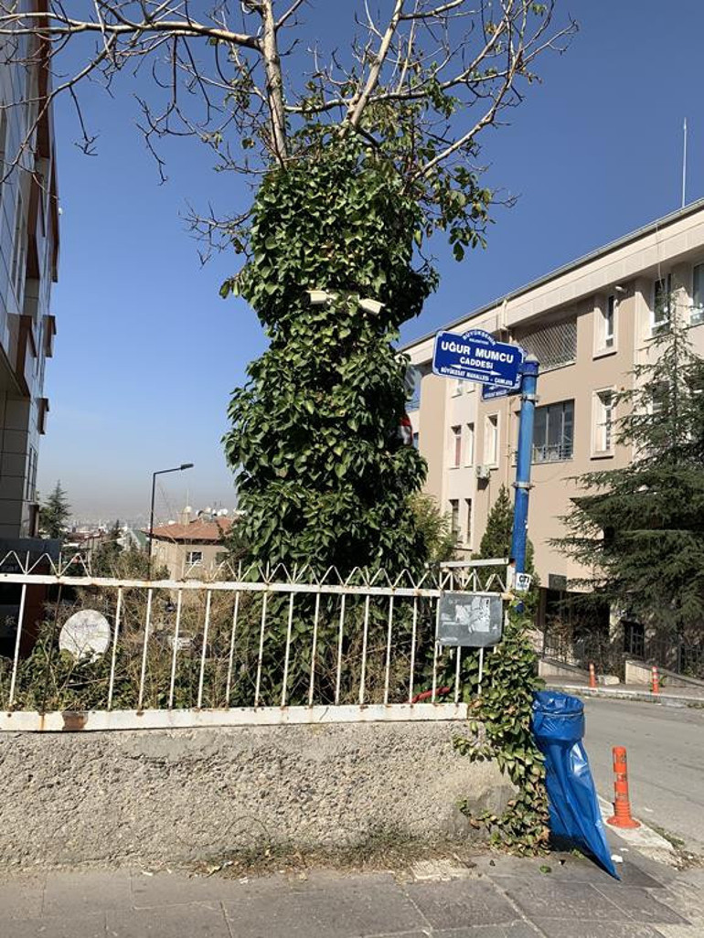 Aradığınız koordinasyona şu anda ulaşılamıyor