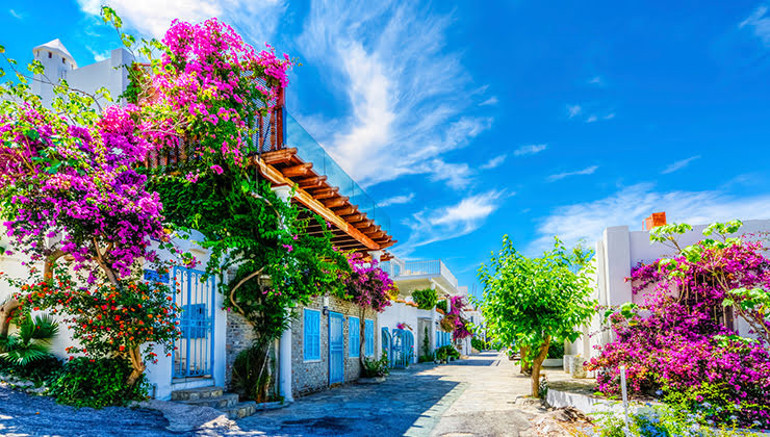 Uçaktan iner inmez Bodrumdaki eviniz 4 dakika Yeni yaşamınızın ayrıntılarını keşfedin