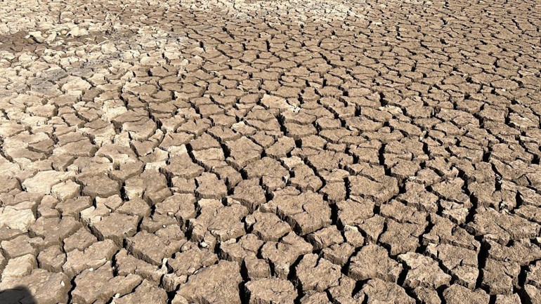 İklim değişikliğinde yeni tehdit  Prof. Dr. Özlü uyardı... Bu hastalıklarda artış var