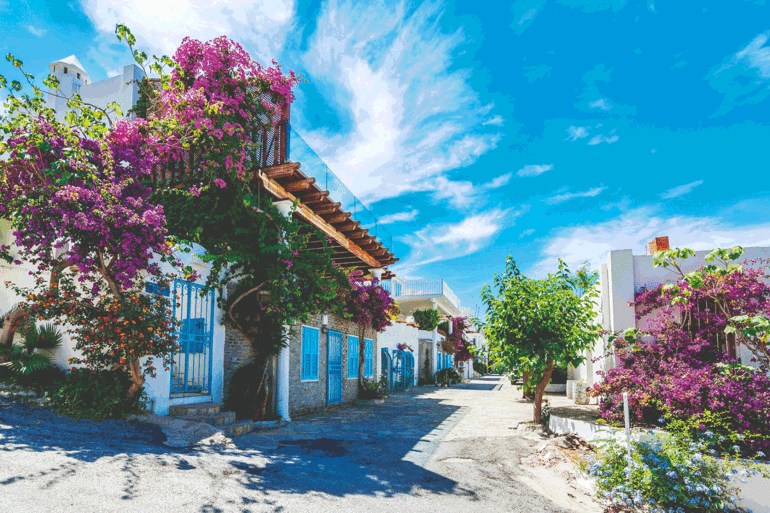 İsteyene yurtiçi, isteyene yurtdışı