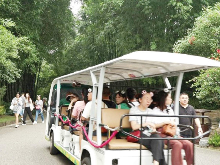 Pandaların hayata tutunduğu park