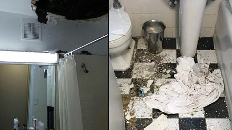 Artık oda arkadaşı tahta kuruları: Sonunda o da ucuz otel odasına düştü: