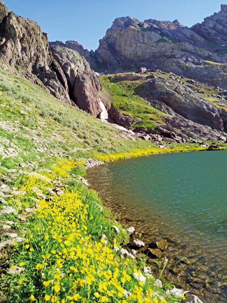 Huzur dolu adresler
