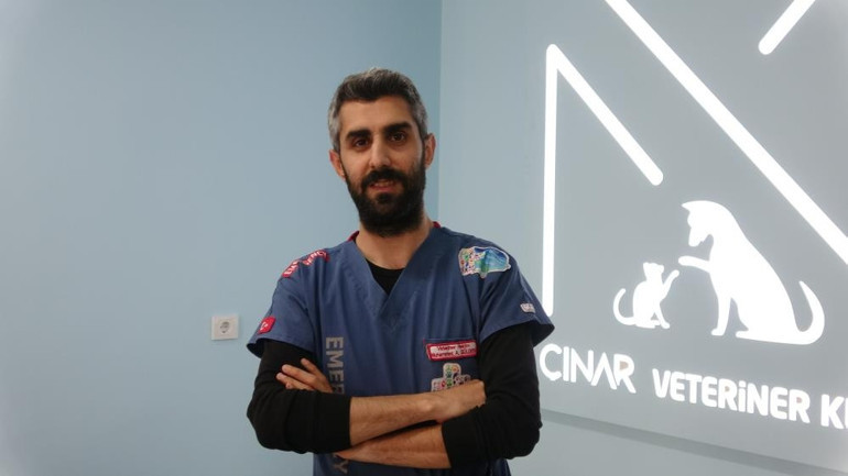 Evinde hayvan besleyenler dikkat Deride yaşıyor ve insana da geçebiliyor... Bu belirti varsa uyuz olabilir