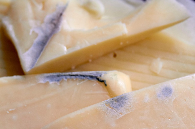 Yiyeceklerde küf görünce ne yapmalı Hangisini atmalı, hangisinin küfünü alıp kalanını tüketmeli | 10 SORUDA KÜF REHBERİ