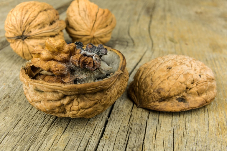Yiyeceklerde küf görünce ne yapmalı Hangisini atmalı, hangisinin küfünü alıp kalanını tüketmeli | 10 SORUDA KÜF REHBERİ