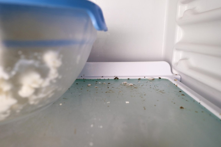 Yiyeceklerde küf görünce ne yapmalı Hangisini atmalı, hangisinin küfünü alıp kalanını tüketmeli | 10 SORUDA KÜF REHBERİ