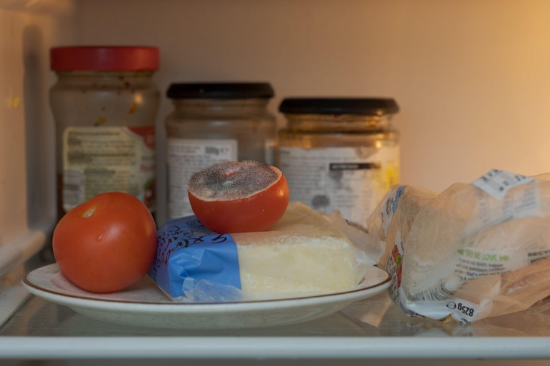 Yiyeceklerde küf görünce ne yapmalı Hangisini atmalı, hangisinin küfünü alıp kalanını tüketmeli | 10 SORUDA KÜF REHBERİ