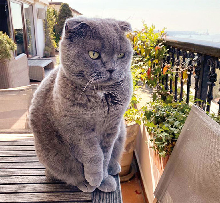 Yahudi Soykırımı artık benzersiz değil