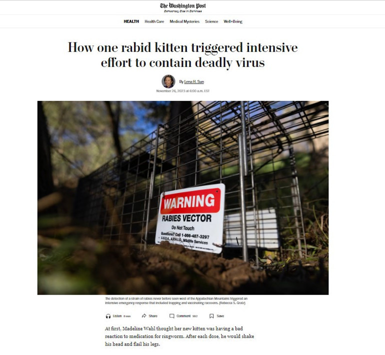 ABDyi karıştıran yavru kedi 7 milyon insan tehlikede...