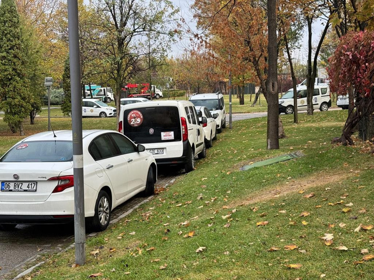 Altınpark’ta budama tepkisi