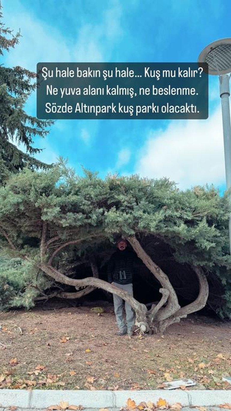Altınpark’ta budama tepkisi