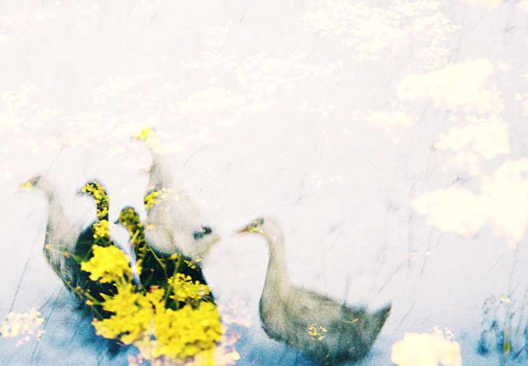 İster konser salonuna buyurun, ister dans pistine...