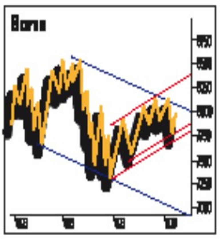 Yabancı girişleri sürüyor