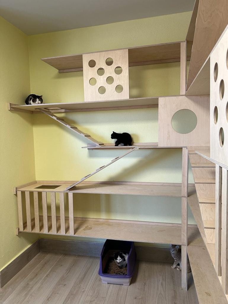 Dünyanın merkezinden tüm Türkiye’ye örnek çalışma