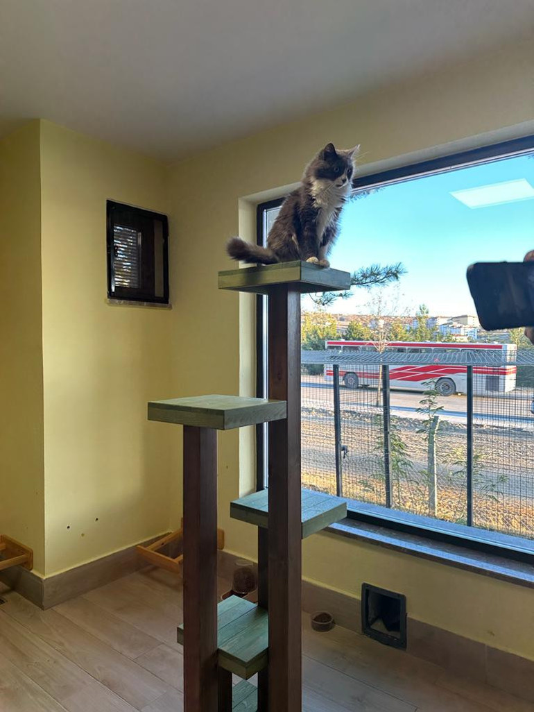 Dünyanın merkezinden tüm Türkiye’ye örnek çalışma