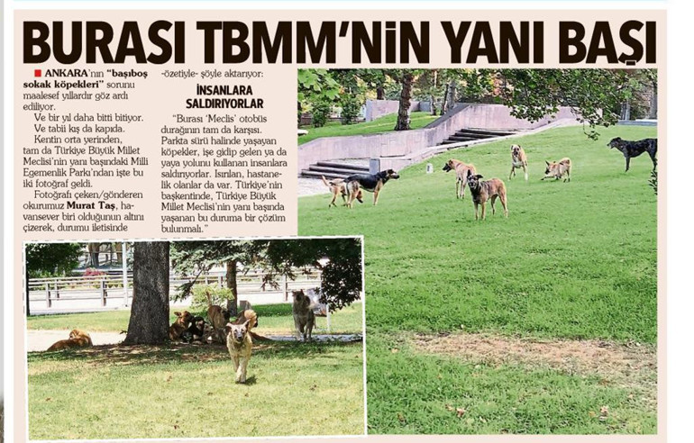 ‘Okula oklava değneklerle gidiyoruz...’