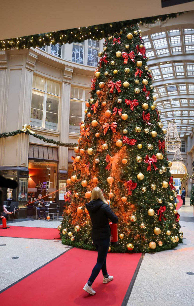 Noel ağaçlarını boyadılar