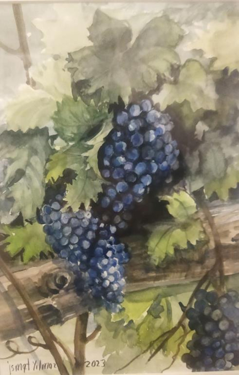 Ankara’nın bağları büklüm büklüm yolları