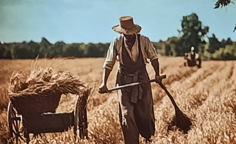 Ankara’nın bağları büklüm büklüm yolları