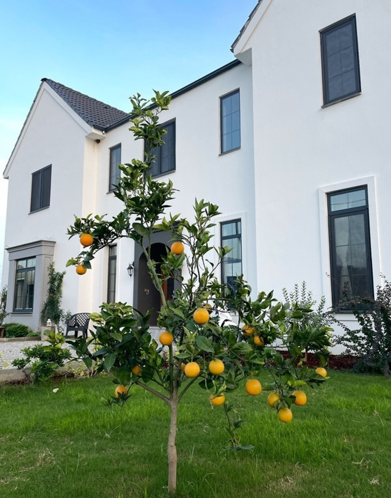 Yurt dışı değil, Muğla Köyceğiz... Ünlü çiftin muhteşem evi
