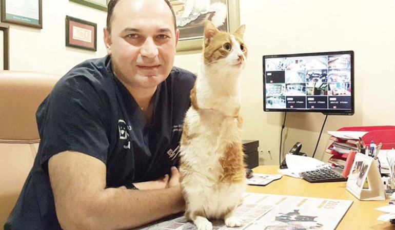 Sokak hayvanı sorununa mercek tuttuk: Kısırlaştır aşılat yaşat
