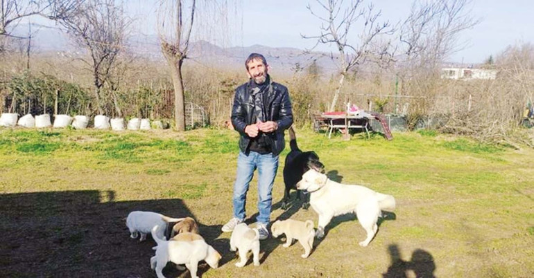 Sokak hayvanı sorununa mercek tuttuk: Kısırlaştır aşılat yaşat
