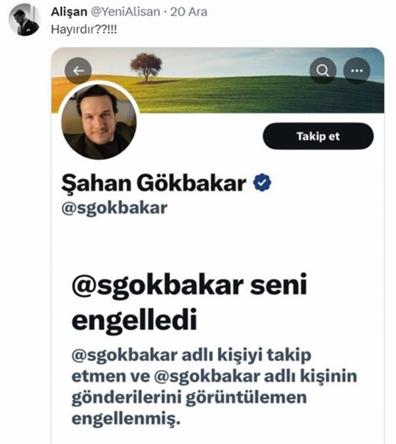 Müziğin dört yapraklı yoncası onlar mı